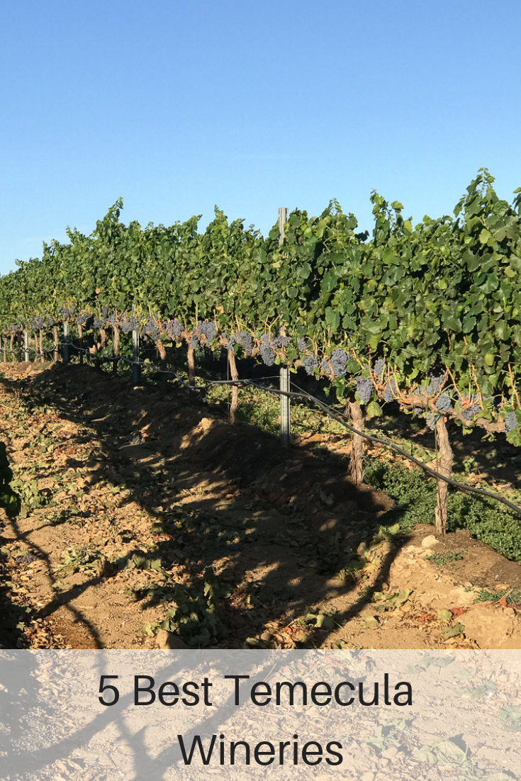 The Fashionista Momma shares the 5 best Temecula wineries.